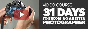 Affiliates - Earn 40% Commission on Each Sale