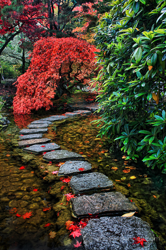 stones leading through a Japanese garden