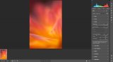 How to Avoid and Reduce Noise in Your Photos (A Practical Guide)