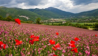 15 Summer Landscape Photography Tips (+ Examples)