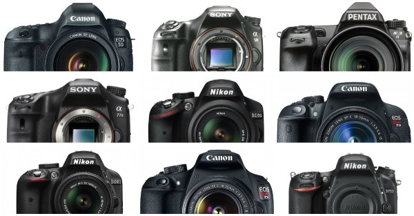 The Most Popular Digital Cameras (in 2024)