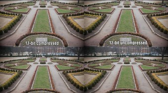 12-Bit vs 14-Bit RAW: Which Should You Use?