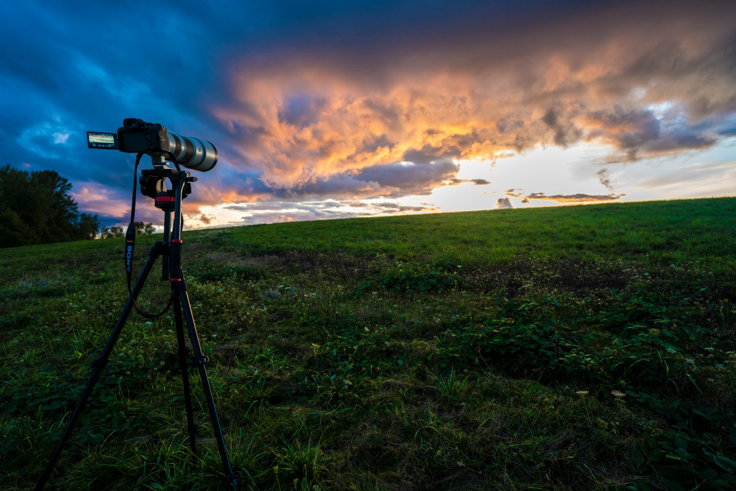 How to get sharp photos with a tripod