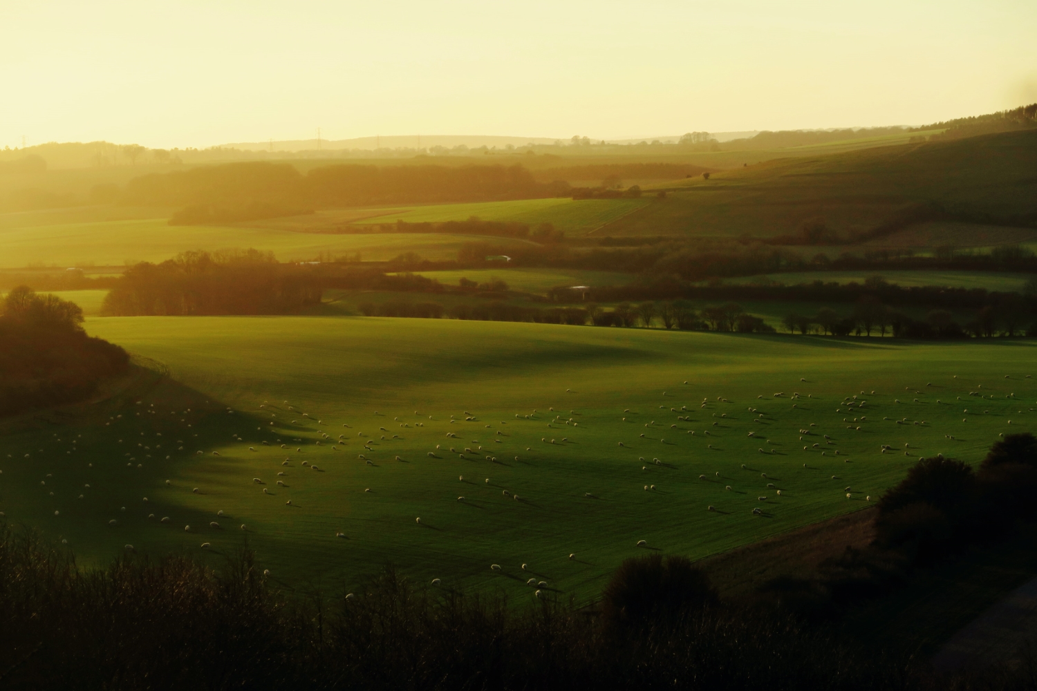 Sunrise photography