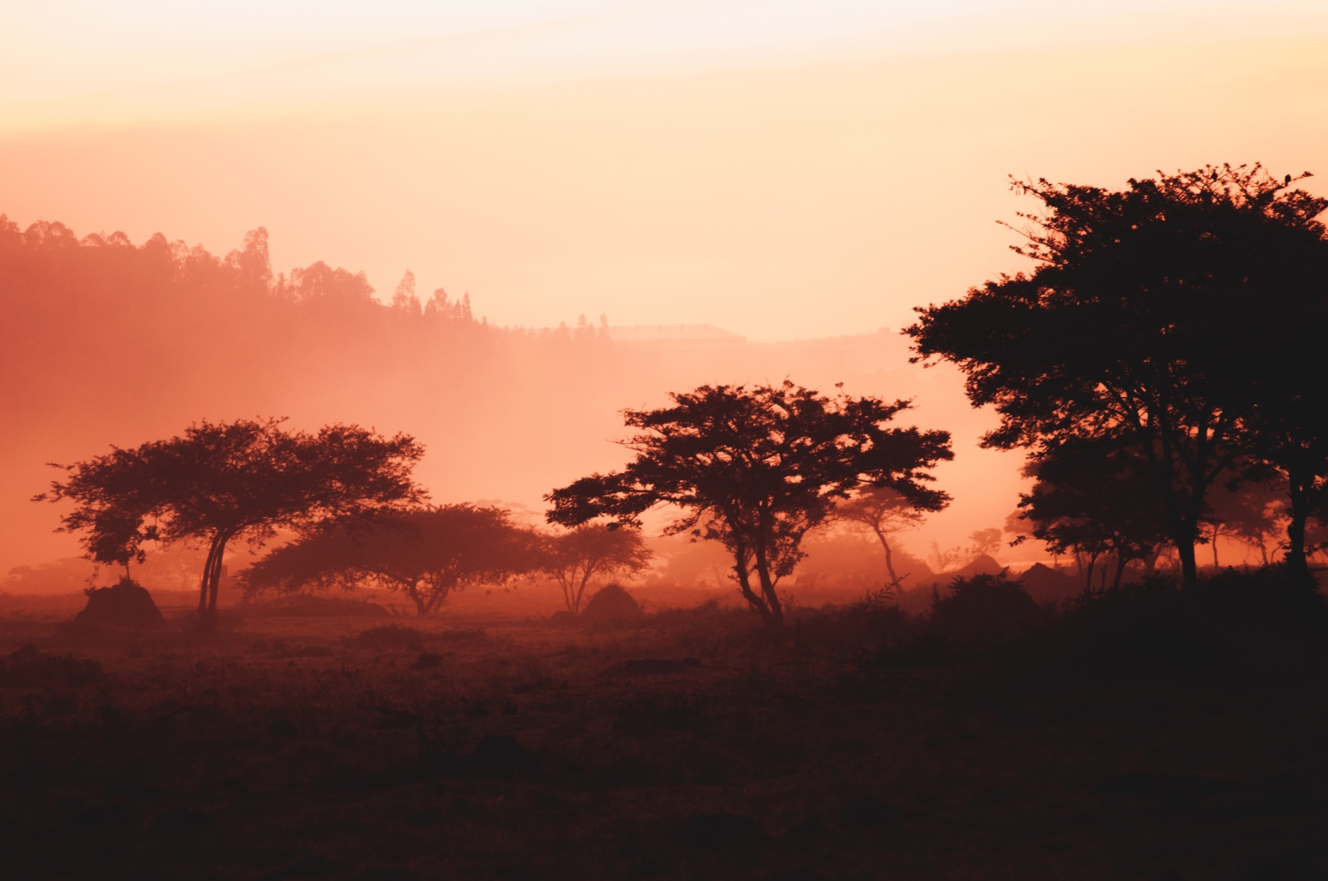 Sunrise photography